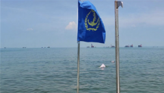 广东湛江海域出现中华白海豚！当地称至少有5只